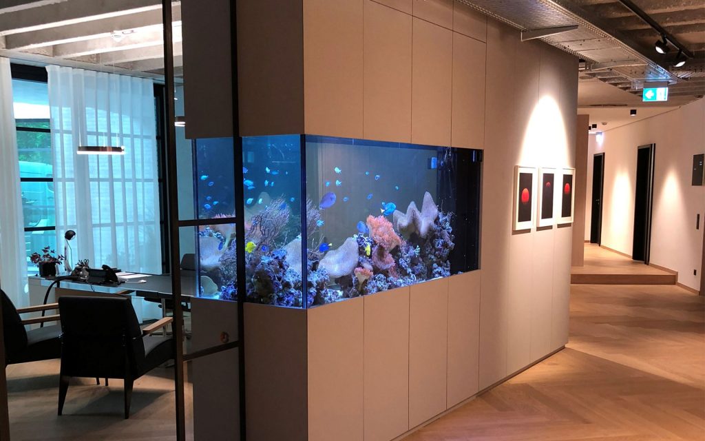 Quarantäneaquarium schütz Hauptbecken