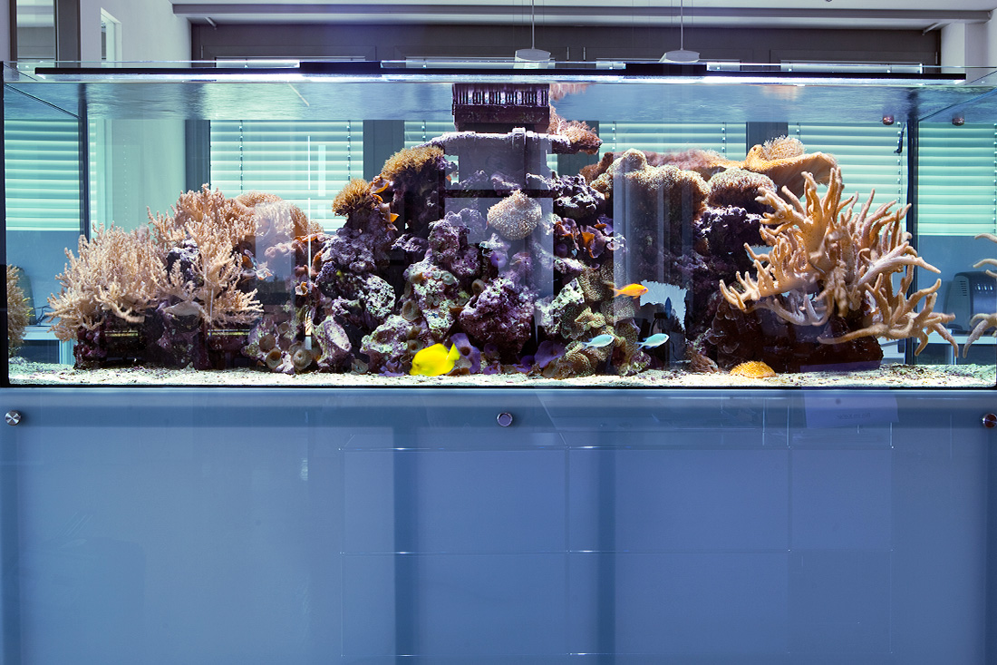 Aquarium MÜnchen