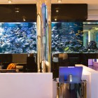 1000 liter aquarium - Betrachten Sie dem Gewinner