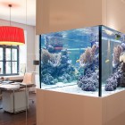 Unsere Top Testsieger - Suchen Sie hier die 1000 liter aquarium Ihrer Träume