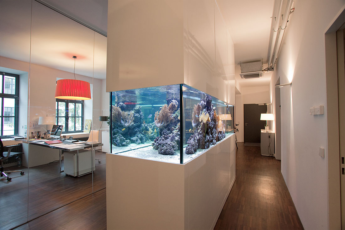 Meerwasseraquarium in München