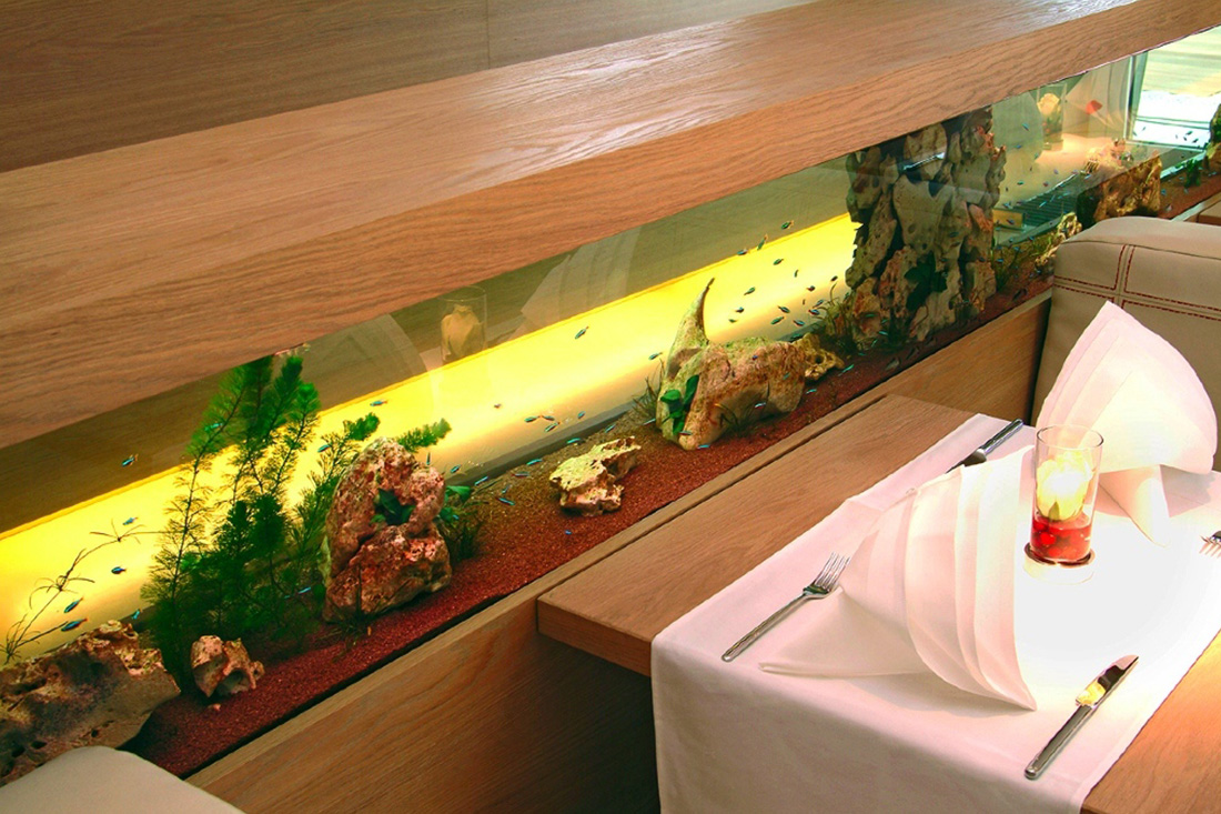 Aquariumbau München