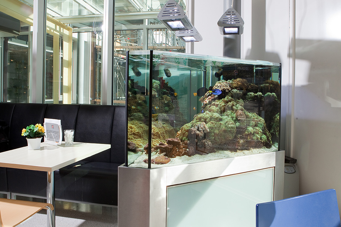 Aquarium in der Kinderklinik