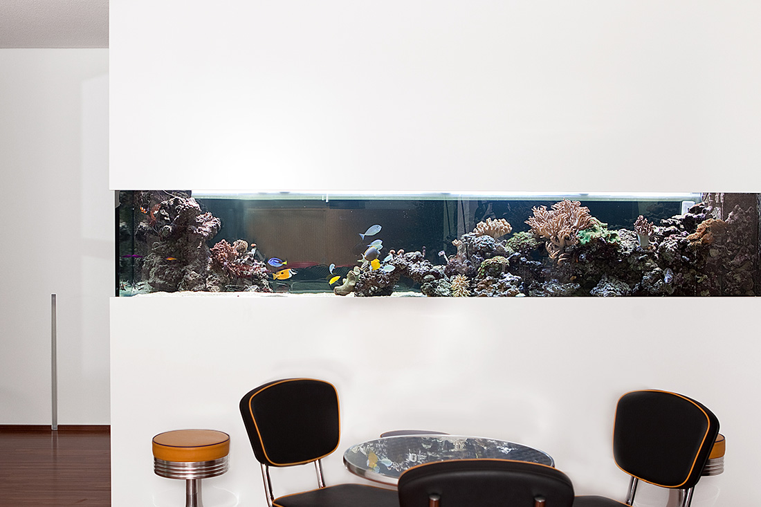 Raumteiler Meerwasseraquarium