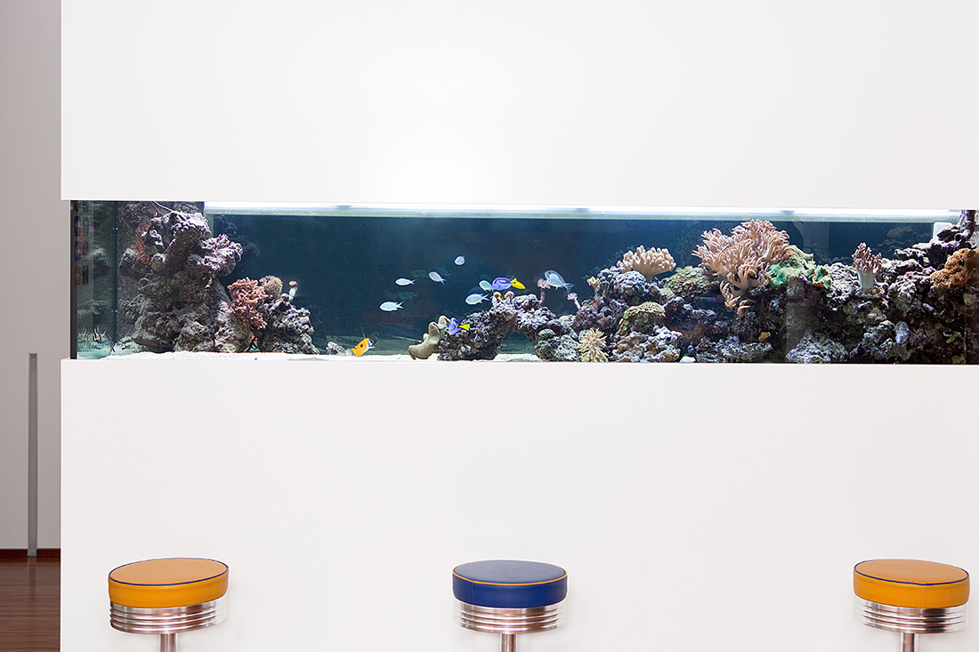 Raumteiler Aquarium Freising