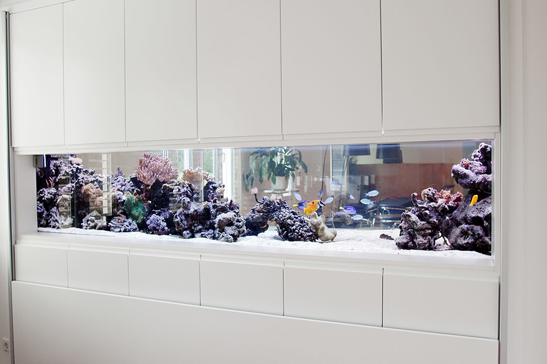 Aquarium München