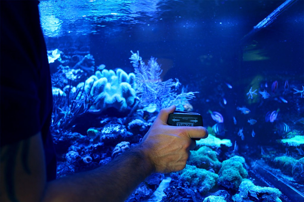 Wartung eines Aquariums