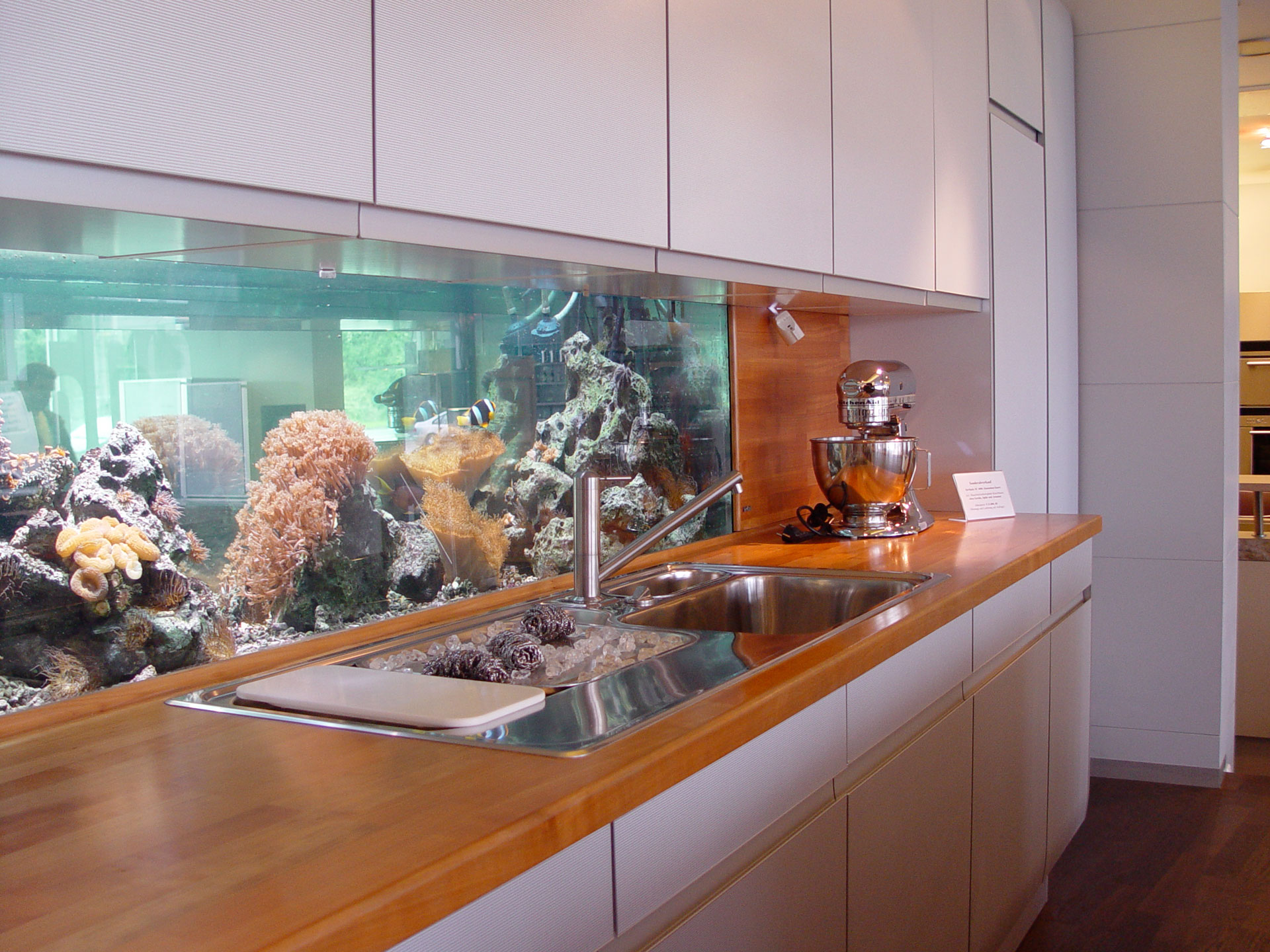 Meerwasseraquaristik im Küchenstudio