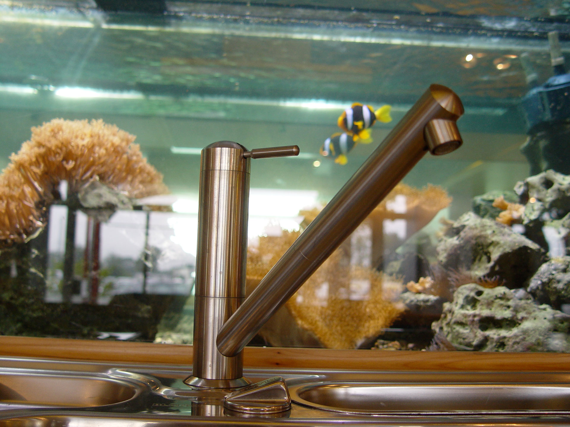 Meerwasseraquarium in Küche