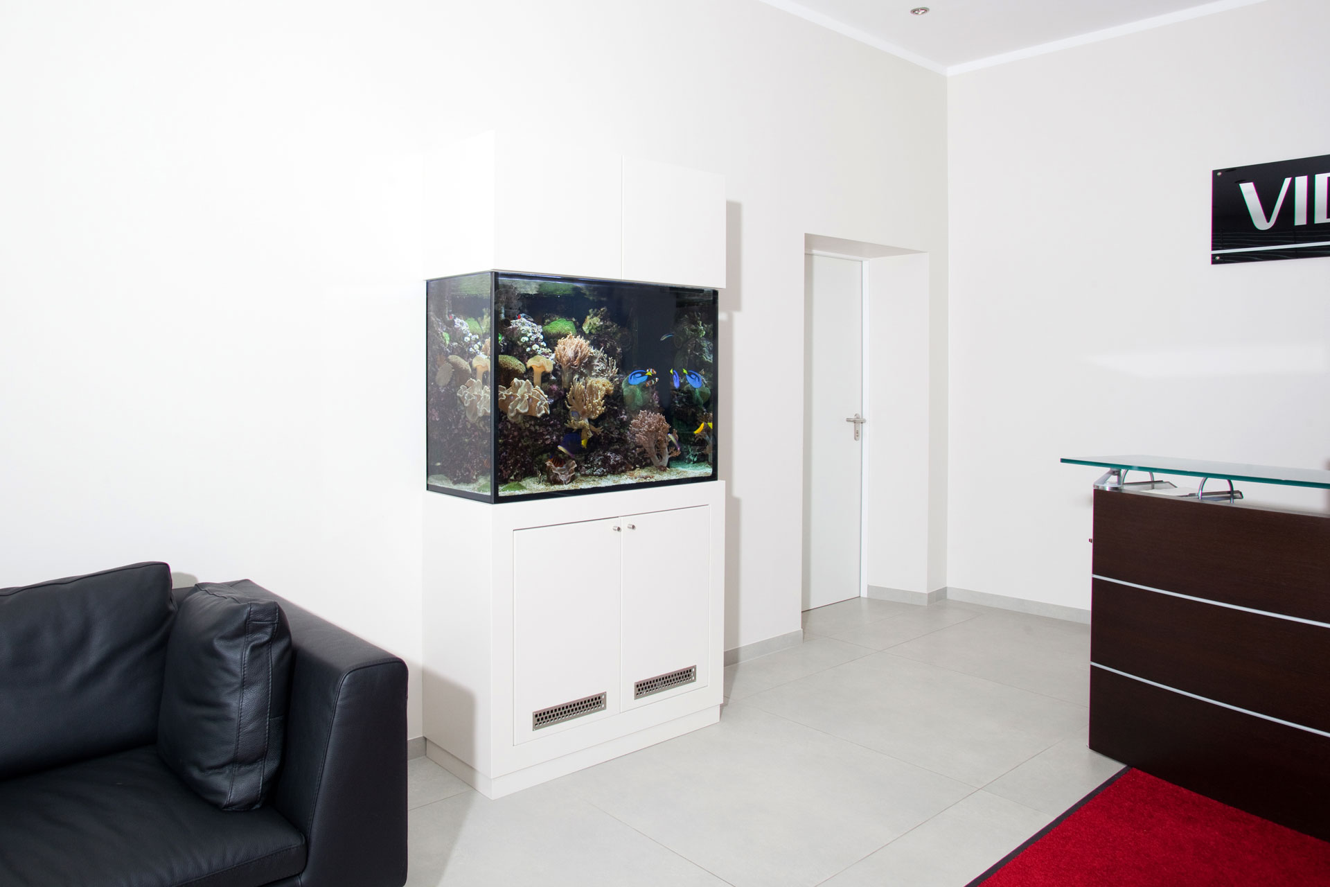 Aquarium als fesselndes Erlebnis