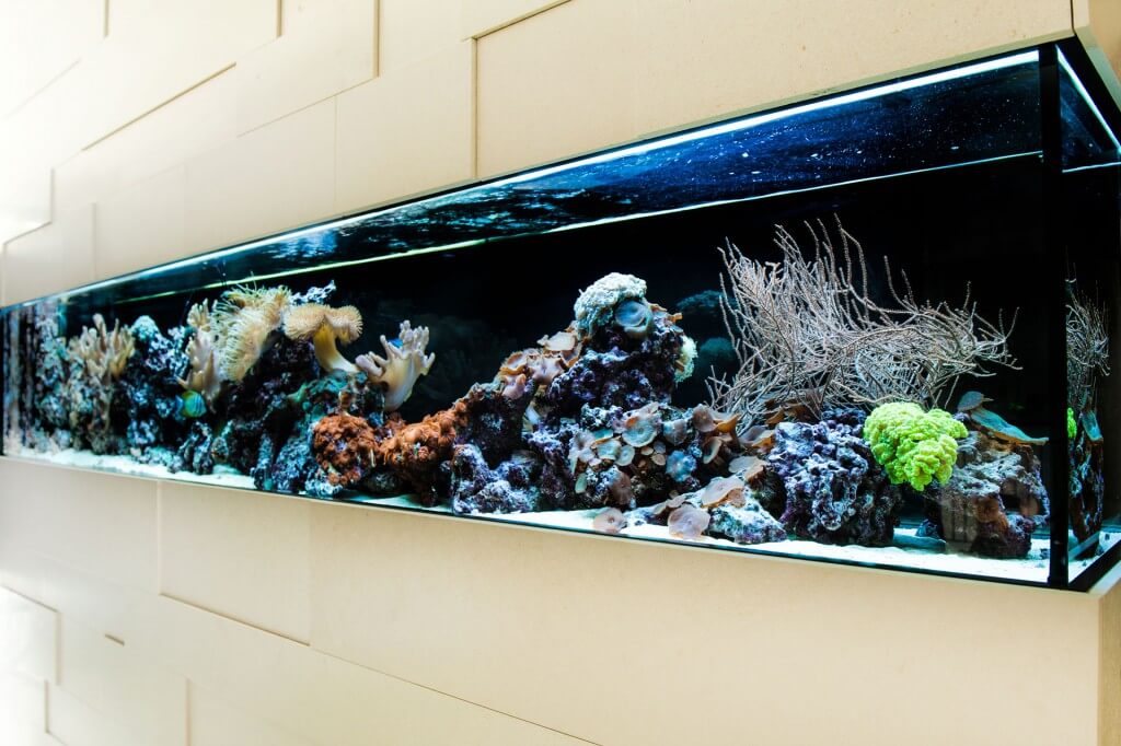 Aquariumbau München