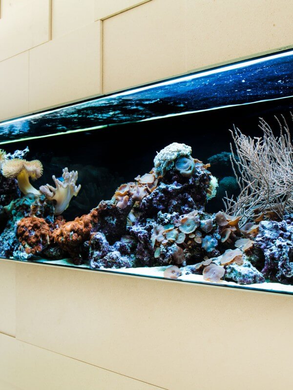 Aquariumbau München