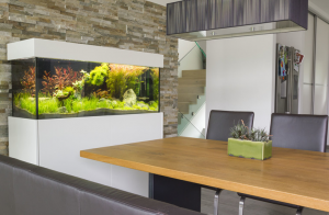 Axperto Designaquarium