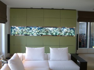 Aquarium West München