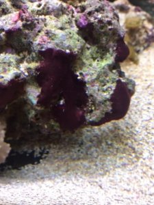 Aquarium München Leitungswasser