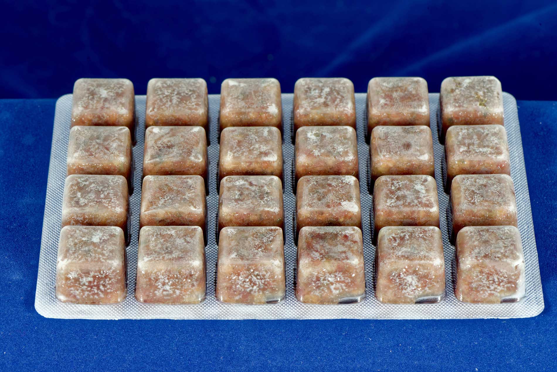 Frosfutter Fischkrankheiten im Meerwasseraquarium