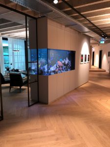 Meerwasseraquarium Büro München Wartebereich
