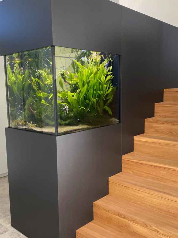 Aquarium München