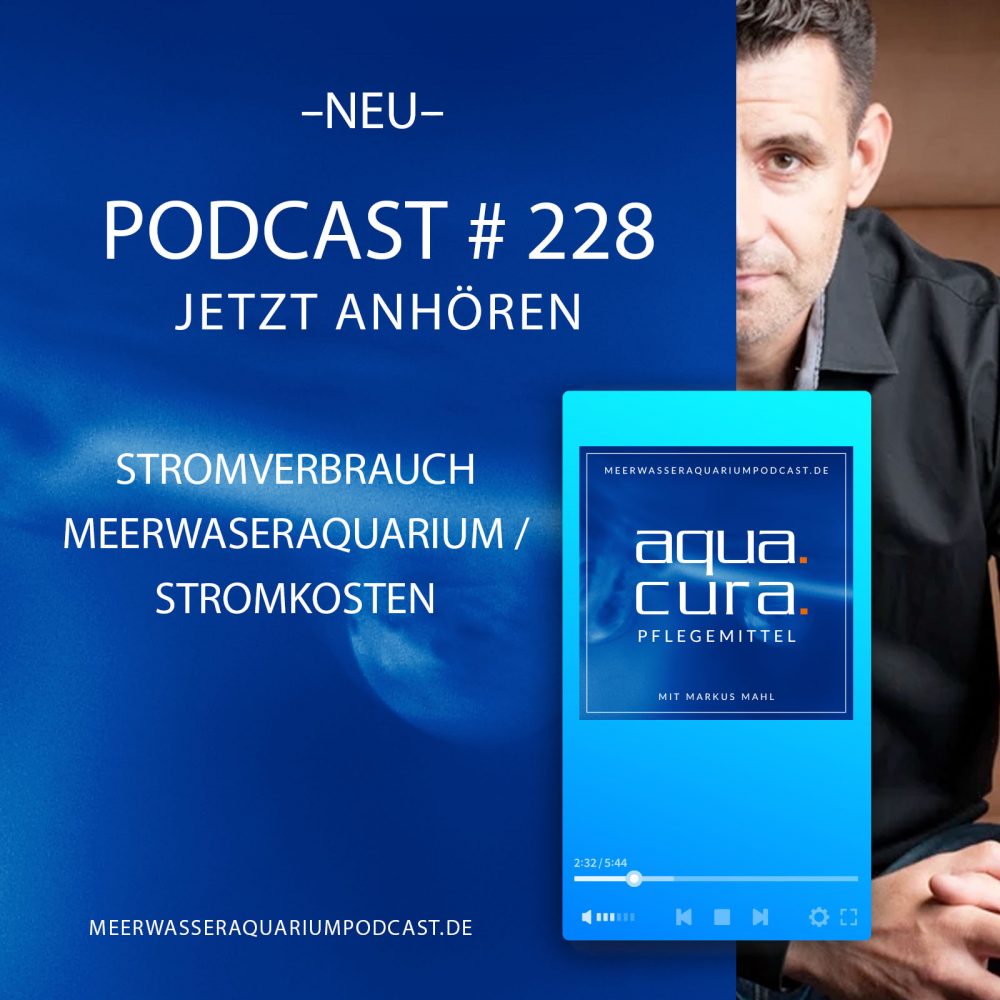 Stromverbrauch Meerwasseraquarium und die entstehenden Stromkosten