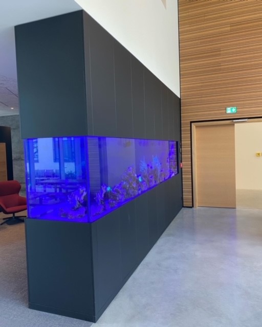 5 Meter Meerwasseraquarium München