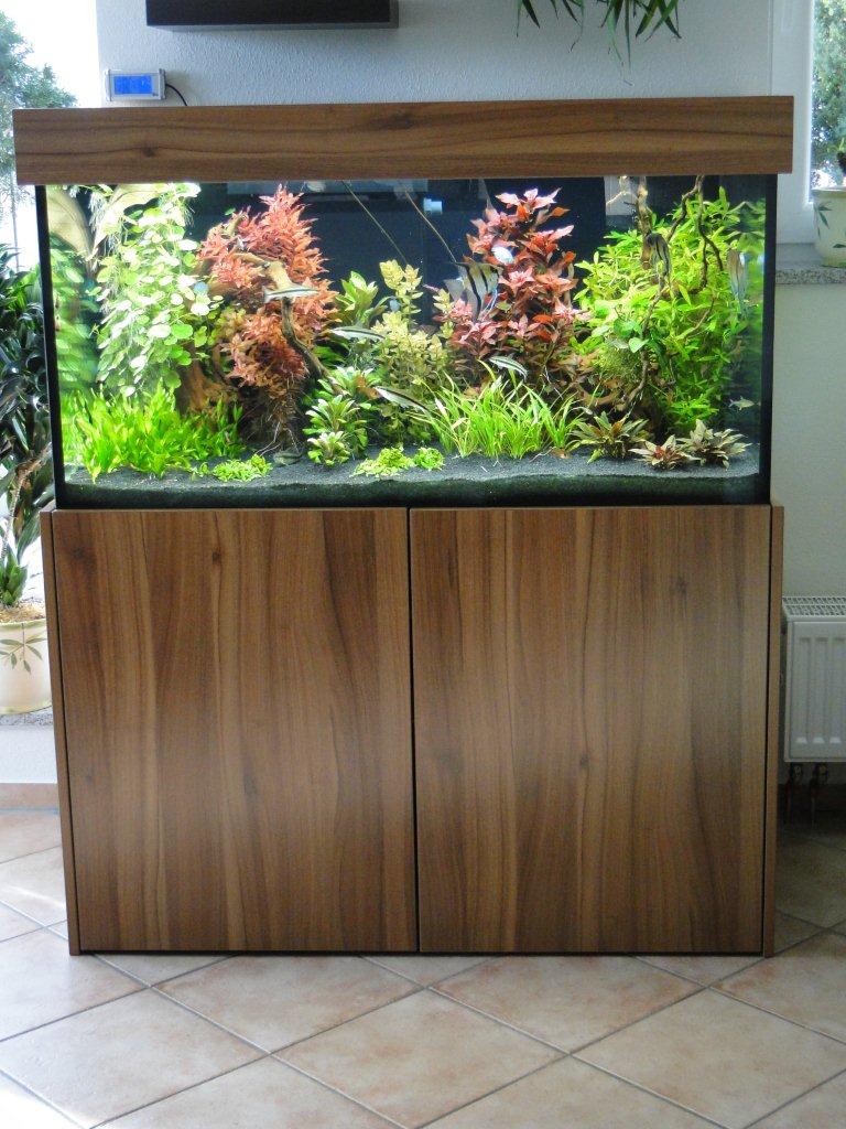Maßgefertigtes Premium Süßwasseraquarium in München mit exklusivem Aquascaping
