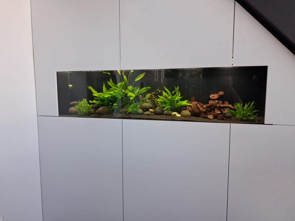 Maßgefertigtes Premium Süßwasseraquarium in München mit exklusivem Aquascaping