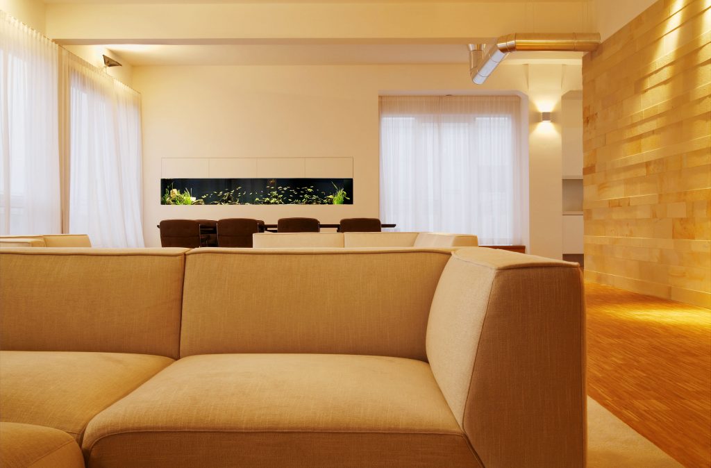 Maßgefertigtes Premium Süßwasseraquarium in München mit exklusivem Aquascaping